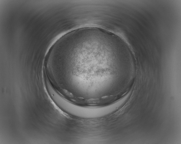 X0000052640910200507011343