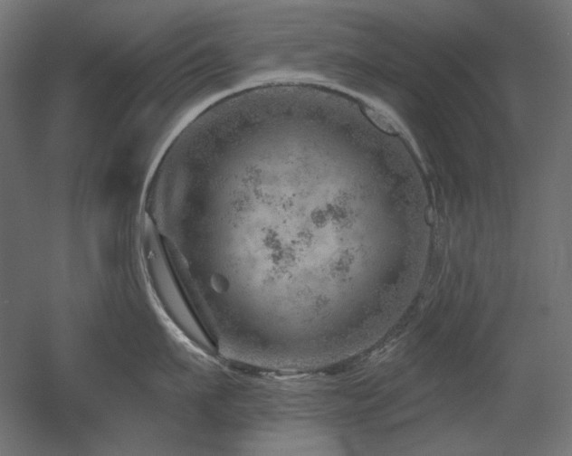 X0000052640911200507011343