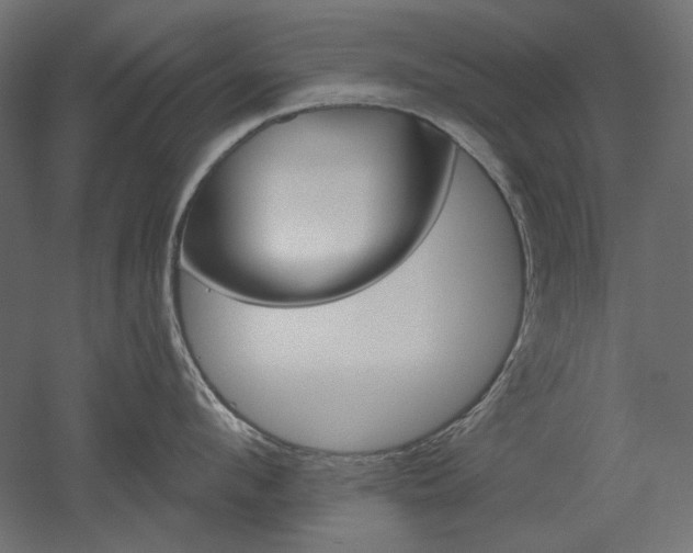 X0000052640912200507011343