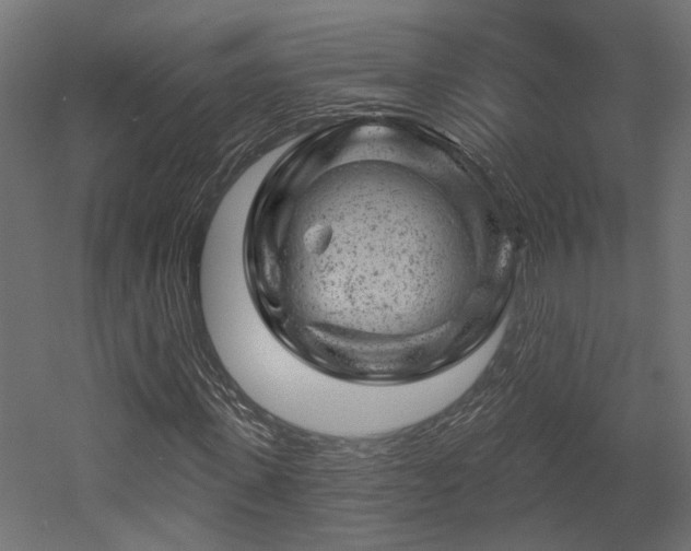 X0000052640915200507011342