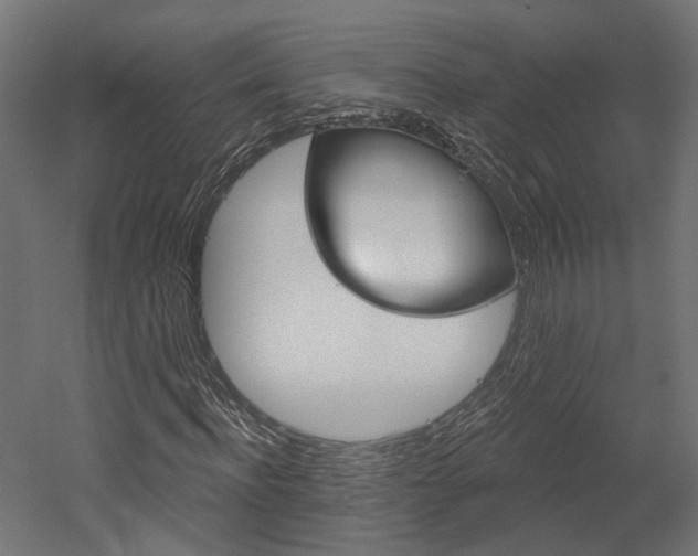 X0000052640916200507011342