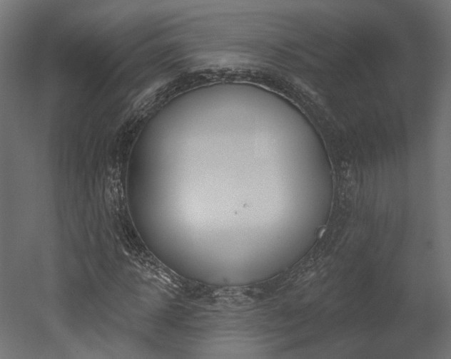 X0000052640918200507011342