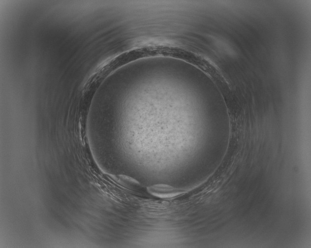 X0000052640919200507011342