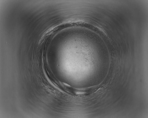 X0000052640920200507011342