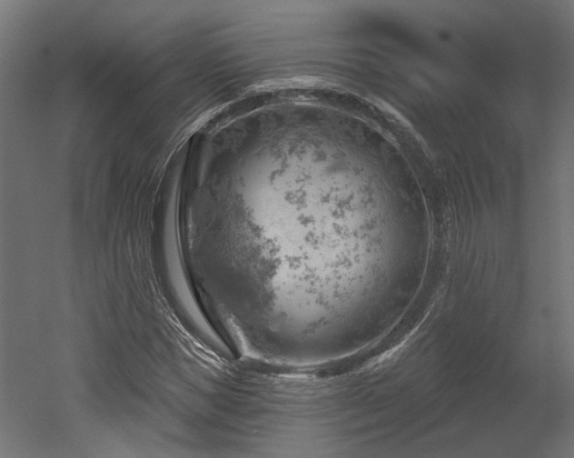 X0000052640921200507011342