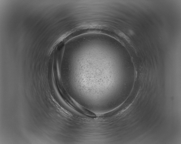 X0000052640922200507011342