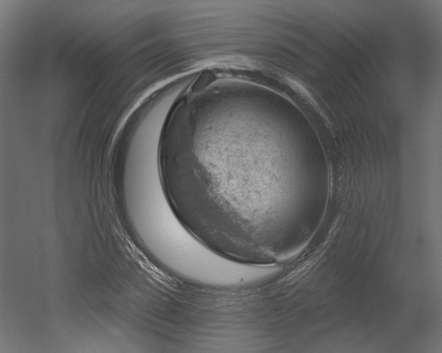 X0000052640923200507011342