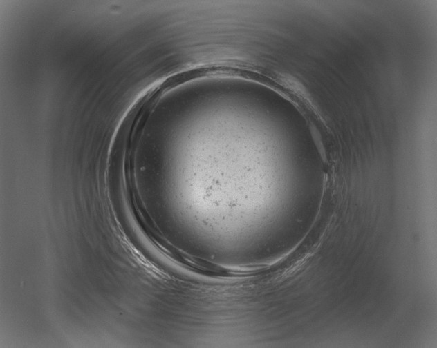 X0000052640924200507011342