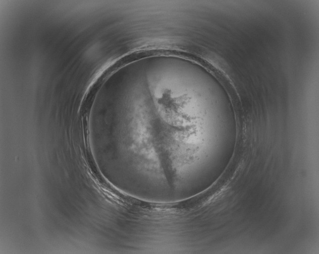 X0000052640925200507011342