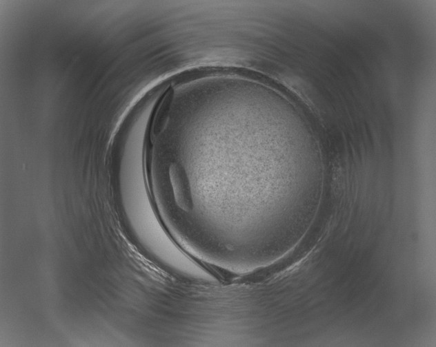 X0000052640926200507011342