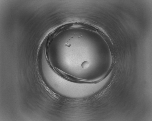 X0000052640927200507011342