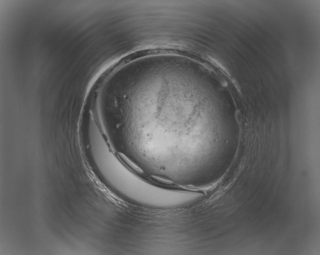 X0000052640928200507011342