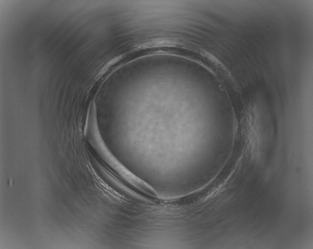 X0000052640929200507011342