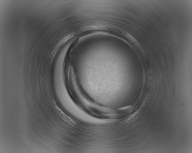 X0000052640930200507011342