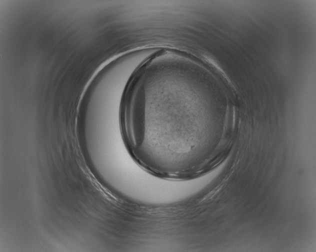 X0000052640932200507011342