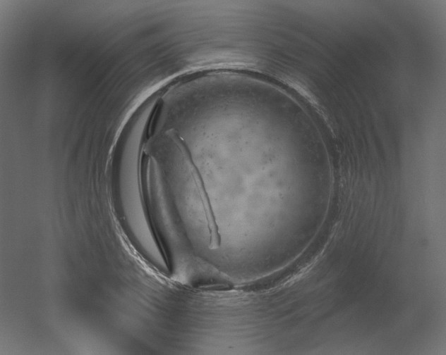 X0000052640933200507011342