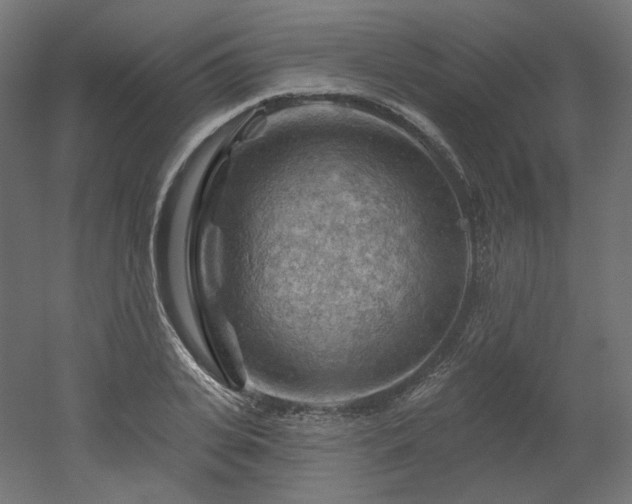 X0000052640935200507011342