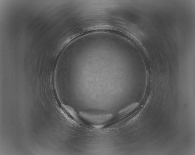 X0000052640937200507011342