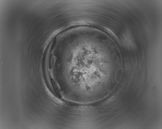 X0000052640938200507011342