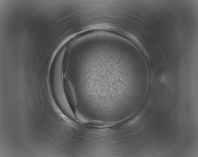 X0000052640939200507011342