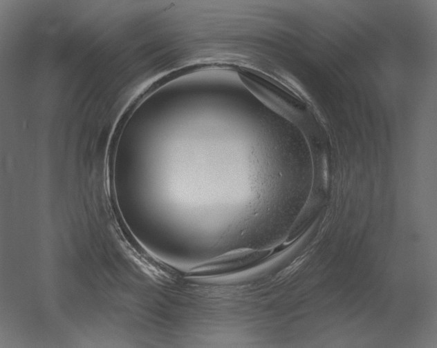 X0000052640940200507011342