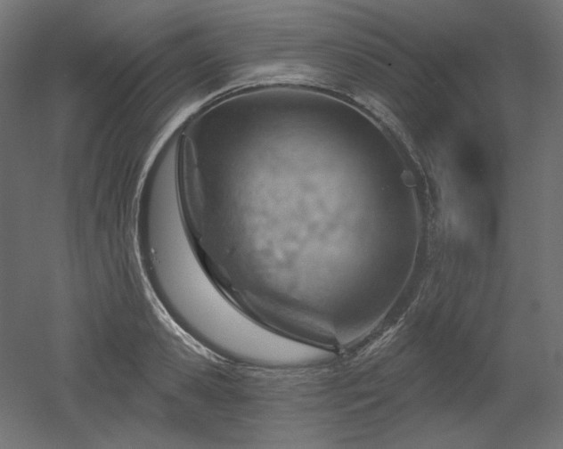 X0000052640941200507011342