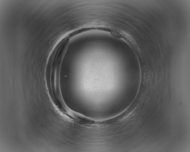 X0000052640942200507011342