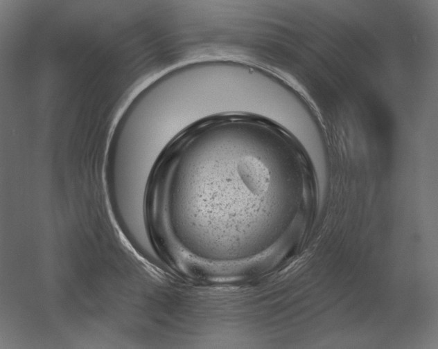 X0000052640943200507011342