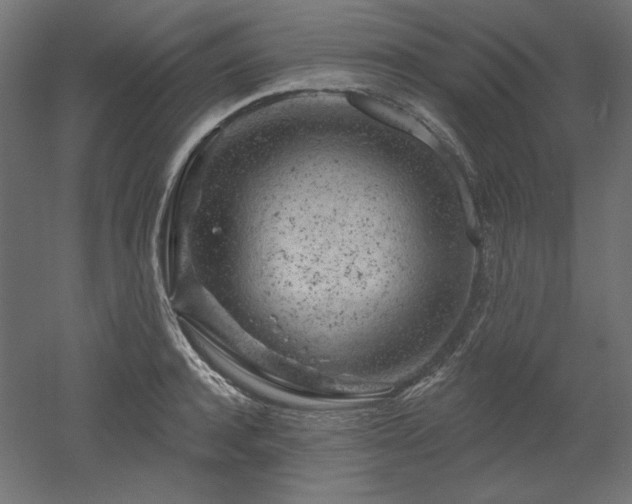 X0000052640944200507011342