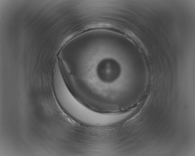 X0000052640945200507011342