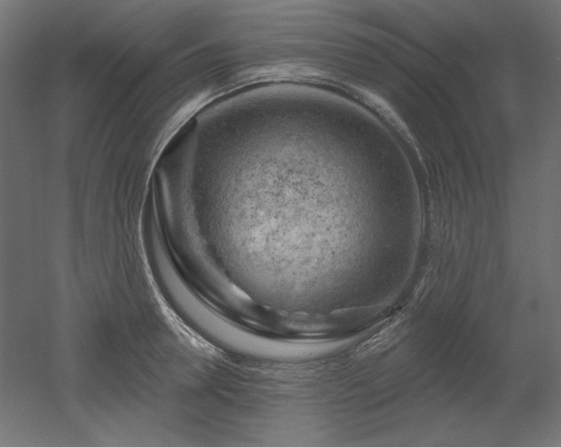 X0000052640946200507011342