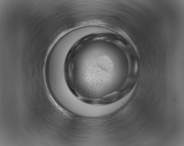 X0000052640947200507011343