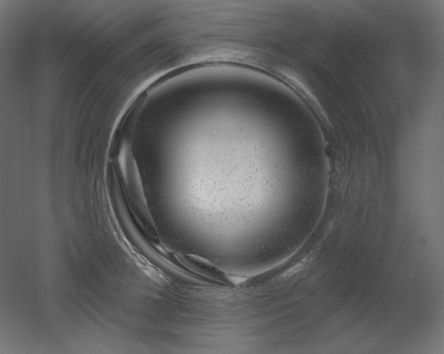 X0000052640948200507011343