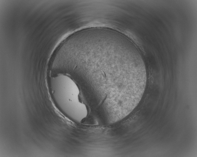 X0000052640950200507011343