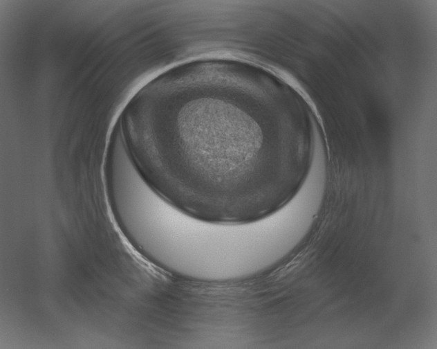 X0000052640951200507011343