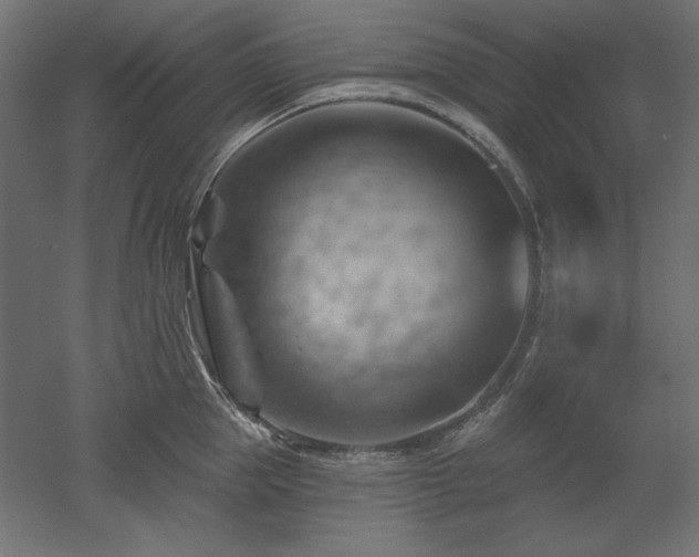 X0000052640953200507011343