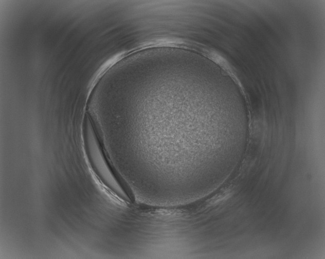 X0000052640954200507011343