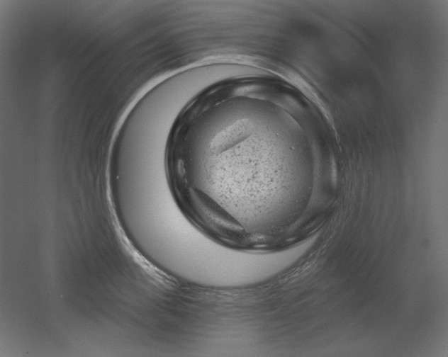 X0000052640955200507011343