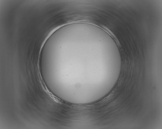 X0000052640956200507011343