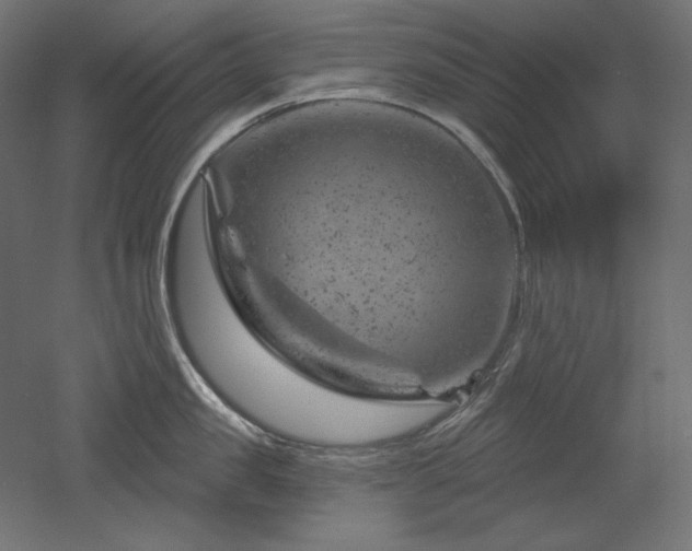 X0000052640957200507011343