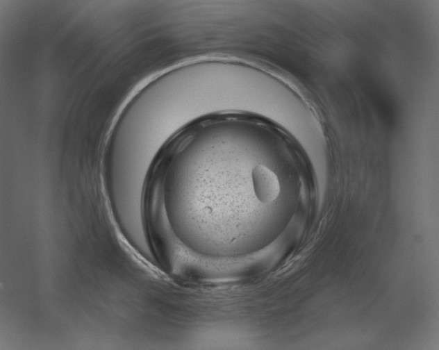 X0000052640958200507011343