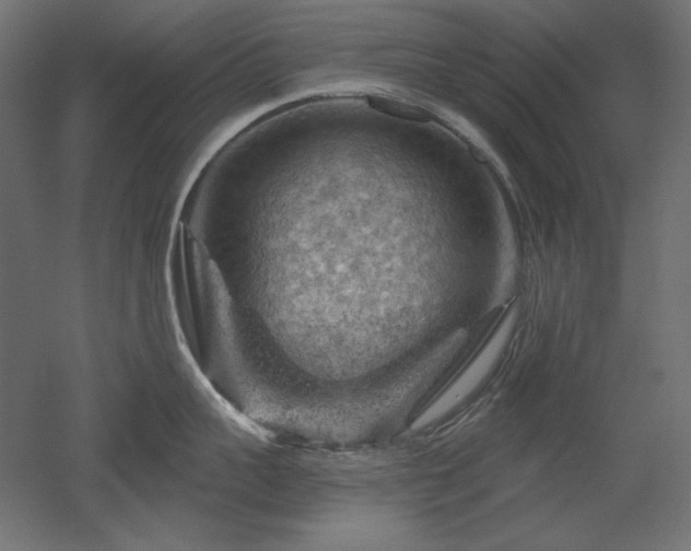 X0000052640959200507011343