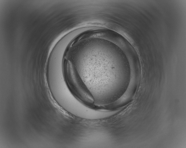 X0000052640960200507011343