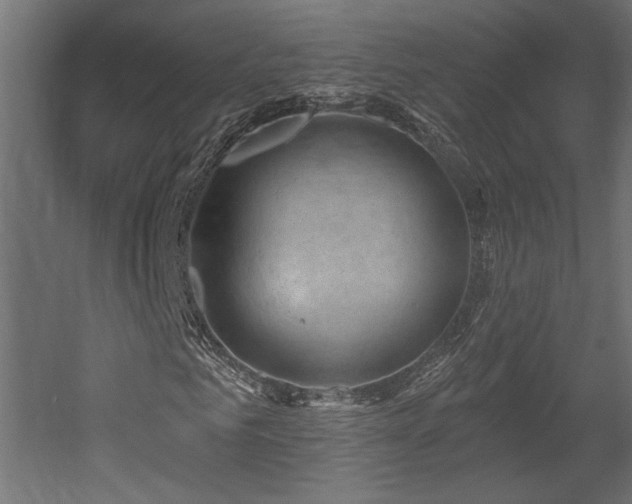 X0000052640961200507011342