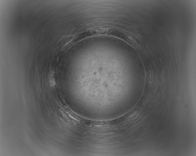 X0000052640962200507011342