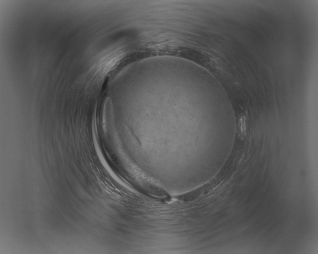 X0000052640963200507011342