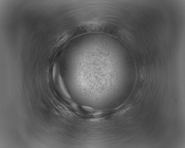 X0000052640964200507011342