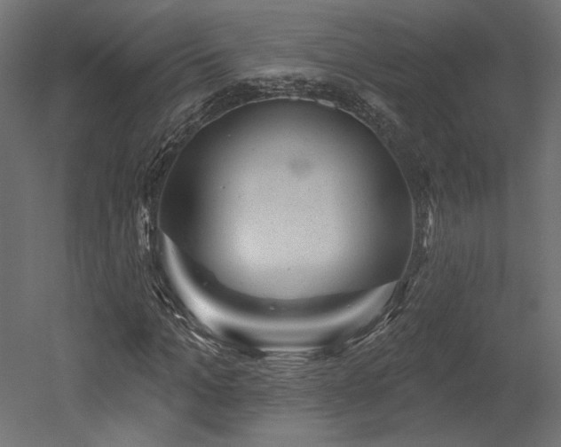 X0000052640965200507011342