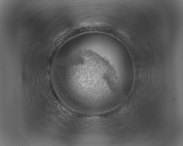 X0000052640966200507011342