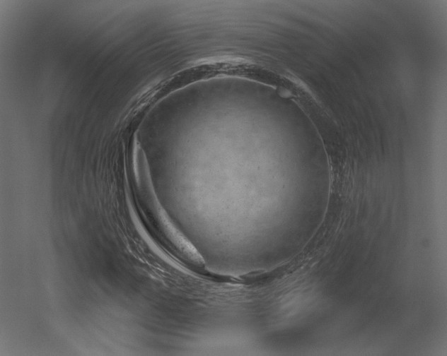 X0000052640967200507011342